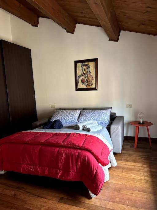 Casa Petrucci 2 Centro Storico Leilighet Forlì Eksteriør bilde